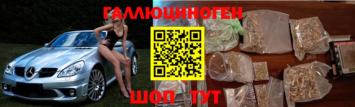 Галлюциногенные грибы MAGIC MUSHROOMS  Вход с VPN  Феодосия 