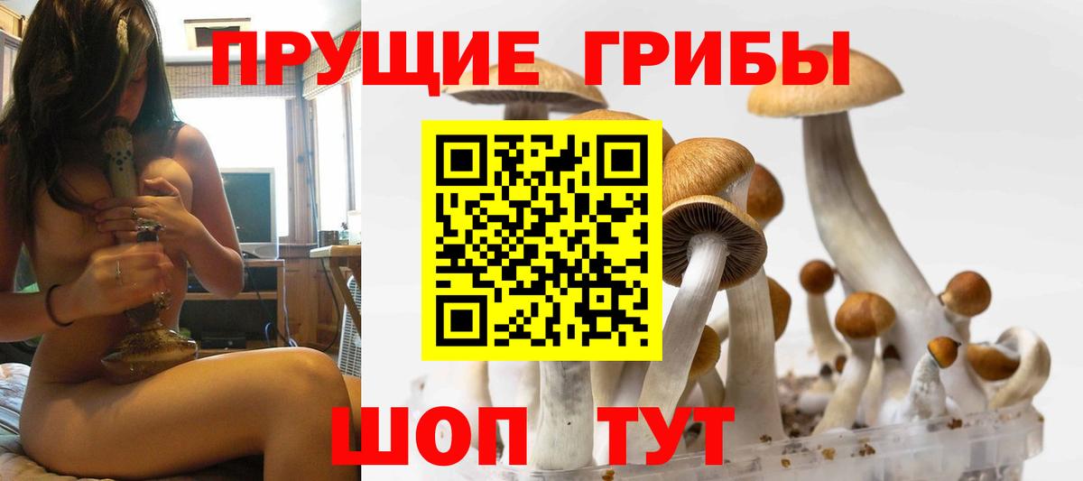 Псилоцибиновые грибы мухоморы Феодосия